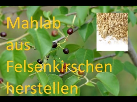 download lagu mp3 mp4 Mahlab, download lagu Mahlab gratis, unduh video klip Mahlab