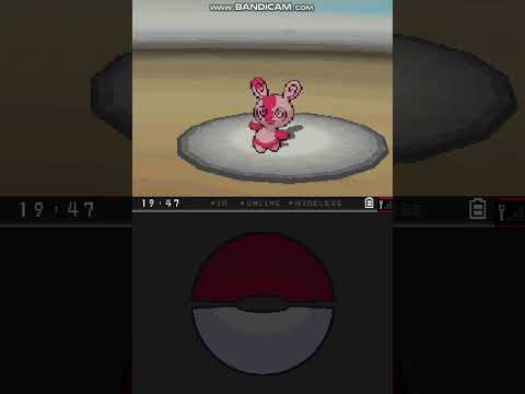 Pokémon White Randomizer Important Battles 4- Xaves Vs Lenora