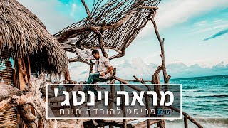 מדריך איך ליצור פריסט כחול חום וינטג' + פריסטים להורדה חינם 🔥