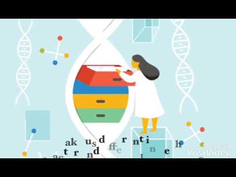 3 Minute Science 2019 "Diamonds & Graphite" by Laura Alinani & Rea Shkembi from MAKK