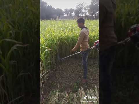 4 STROKE SIDE PACK BRUSH CUTTER