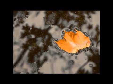 LOOP - il tempo è un cerchio chiuso (recitazione preceduta da ''Old Friends'' di S&G)