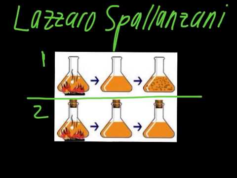 download lagu mp3 mp4 Spallanzani, download lagu Spallanzani gratis, unduh video klip Spallanzani