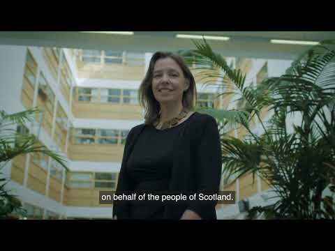 The Scottish National Investment Bank - what we do