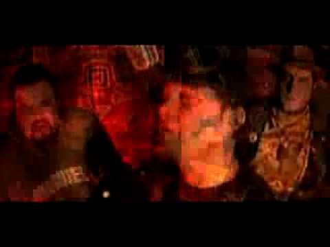 shapeshifters - start of the finish