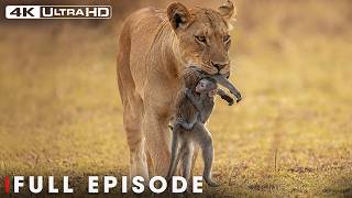 Wild Savannah | The Tragic Circle Of Life | FULL EPISODE | Wildlife Documentary