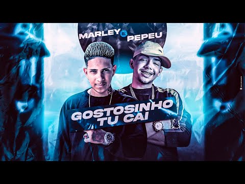 MC MARLEY E MC PEPEU - GOSTOSINHO TU CAI - REMIX BREGA FUNK