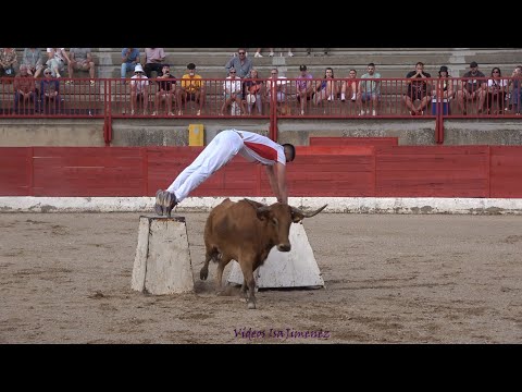 Pina de Ebro (Zaragoza) 12/05/2024 - I Encuentro de tauromaquias - Tancredo - HD