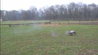 Jump the Ramp - MTA4 - In the Beginning