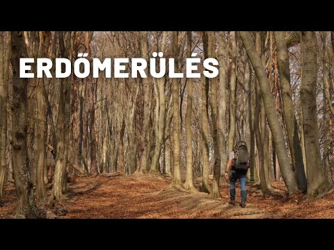 ERDŐMERÜLÉS - III. rész: Kőszegi-hegység // ASMR Hiking