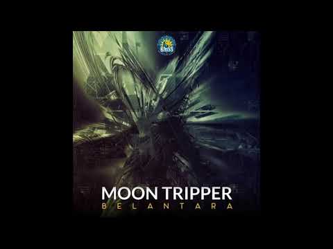 MOON TRIPPER - Groovy Doobie (Original Mix)