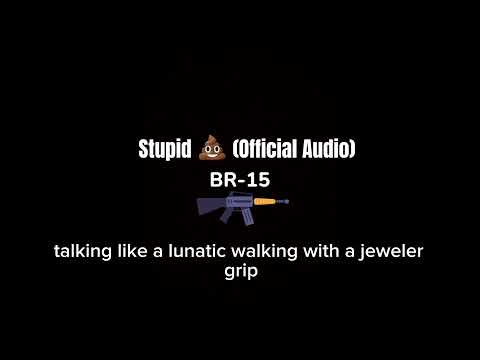 BR-15 - Stupid Sh (Prod. DJ L)