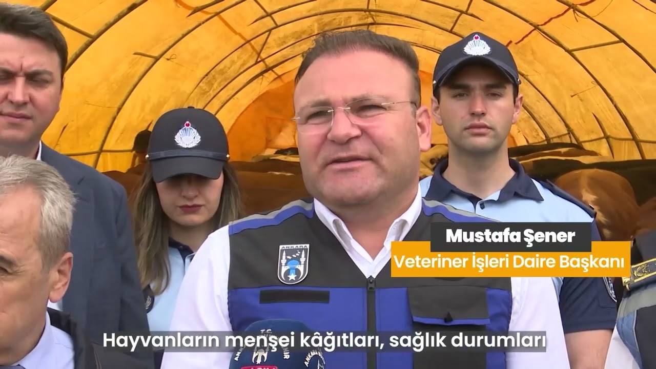 KURBAN SATIŞ ALANLARINDA SIKI DENETİM VE İLAÇLAMA SEFERBERLİĞİ