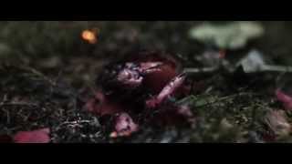 Stabat Mater - Woodkid Music video