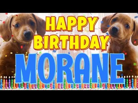 Happy Birthday Morane! ( Funny Talking Dogs ) What Is Free On My Birthday
