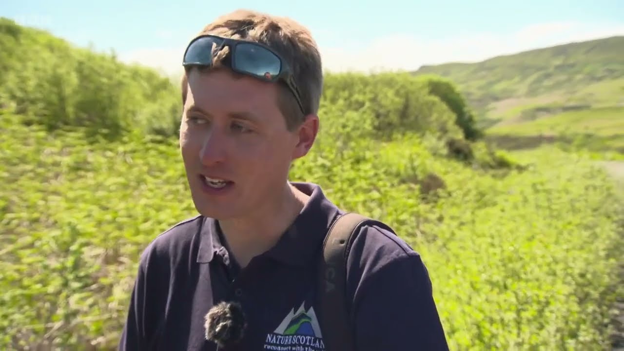 Adders on Springwatch (2022)