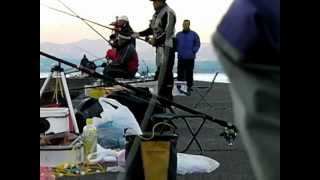 先輩と冬の堤防（沼津、静浦）で遠投カゴ釣りしてきたが・・