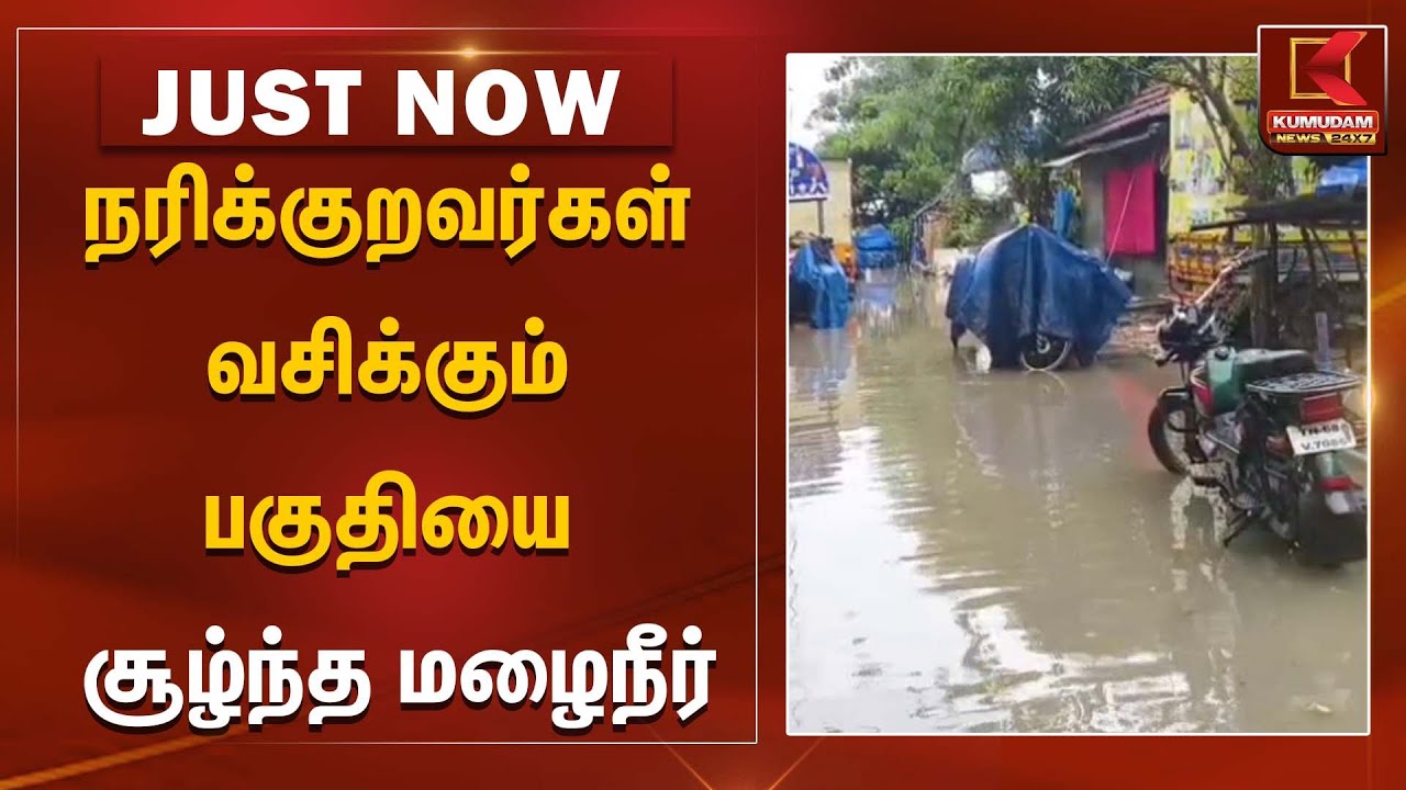 நரிக்குறவர்கள் வசிக்கும் பகுதியை சூழ்ந்த மழைநீர் | Thiruvarur