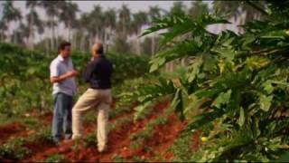 preview picture of video 'Changes in Cuban agriculture'
