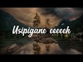 Joel Lwaga Usipigane Lyrics