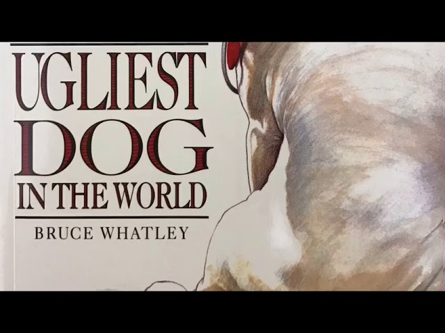 Vídeo relacionado con Spike: Ugliest Dog in the Universe