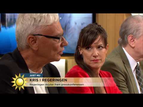 Regeringskrisen: "Stefan Löfven är en politisk oskuld" - Nyhetsmorgon (TV4)