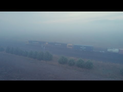 Foggy Morning 3AM5 Pacific National Container Train (11/5/2022) - PoathTV Australian Railways