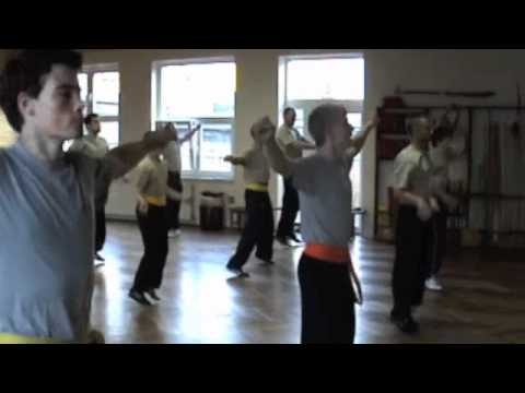 Phönix Kung Fu WHKD