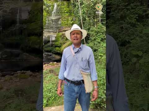 💬 Desde lo más profundo del campo betuliano