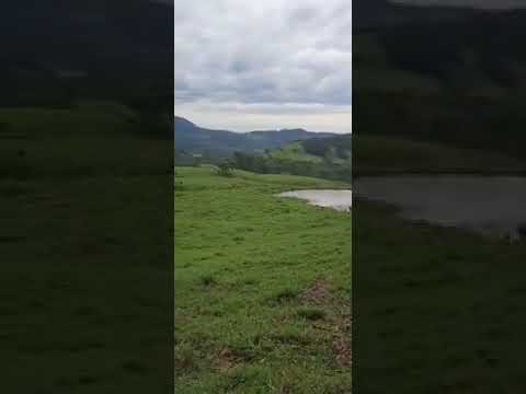 Tajuva, Morrinhos do Sul - RS