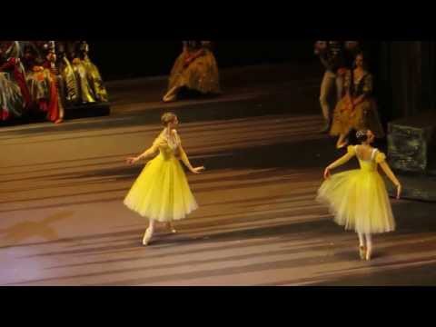 R. Skvortsov / Y. Andrienko / A. Vorontsova - Swan Lake