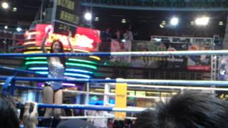 14年泰拳錦標賽ring girl