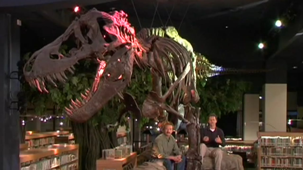 Jurassic Evolution - The Missing Link...Still Missing!?