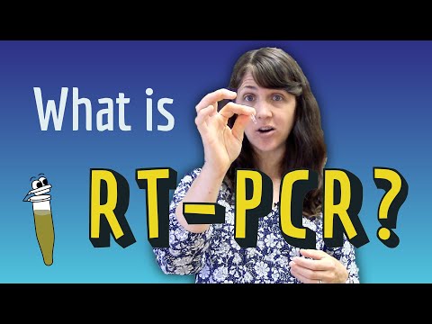 What is RT-PCR? (Real-Time PCR & Reverse Transcription PCR)