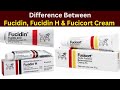 Difference Between Fucidin Fucidin H Fucicort Cream Review Dose Uses Antibiotic Cream
