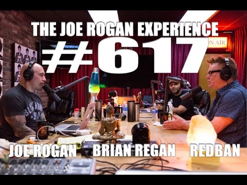 Joe Rogan Experience #617 - Brian Regan