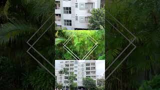 White Fern Stays | Spacious Rooms & Serviced Apartments in Hyderabad