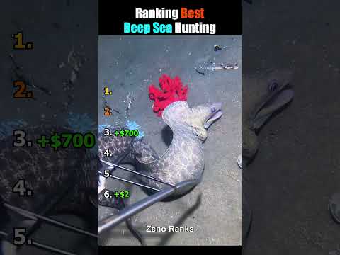 Ranking Best Deep Sea Hunting