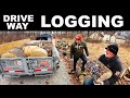 FREE FIREWOOD ROUNDS 1800 WORTH FREE FREE FREEEEE