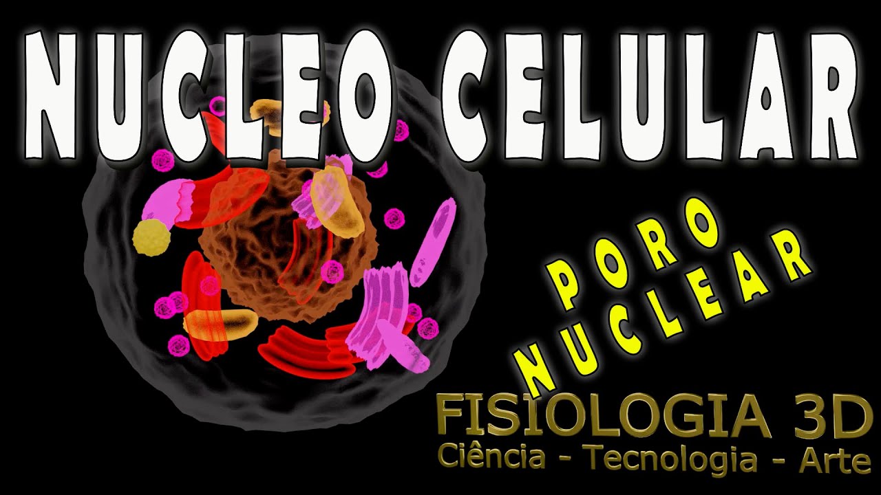 Aula 19 - Núcleo Celular (como ocorre o transporte entre o interior nuclear e o citoplasma)