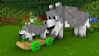 Wolf Life : TINY PUPPY LOVES TO RACE AROUND - Minecraft Animation