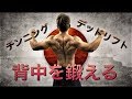 背中の筋トレ Back Workout