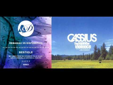 Disfunktion & Remaniax vs. Cassius - The Sound Of Bestiole (DJ Groover Mashed up Remix)