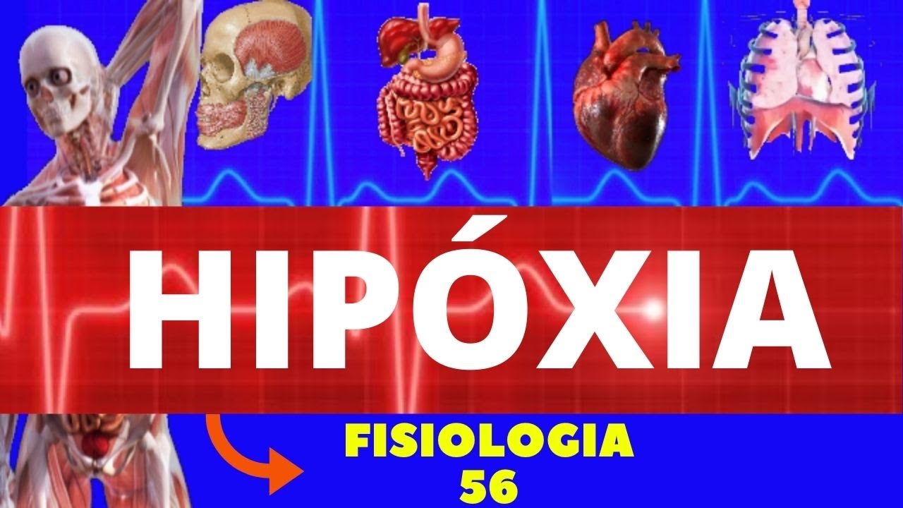 HIPÓXIA (FISIOLOGIA HUMANA) - FISIOLOGIA DE GUYTON - FISIOLOGIA RESPIRATÓRIA