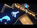 Taif Zoo Safari Park Adventure Amazing Animals Fun Experience