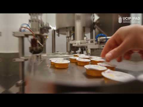 Granturi la finanțarea investițiilor în cadrul Programelor IFAD