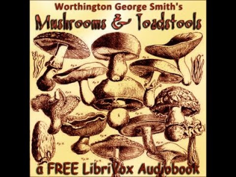 Mushrooms and Toadstools (Third Edition) by Worthington George SMITH | Full Audio Book