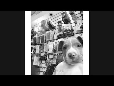 RMX-ព្រម Remix ចាប់តាំងពីថ្ងៃនេះទៅយើងលែងជាអ្វីនឹងគ្នាហើយ...💔:)Remix 2021(Pard & P-Gaed) Pheak BeNz