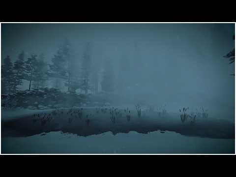Extreme Blizzard Sounds at the Frozen Lake┇Frosty Wind Ambience & Mighty Snowstorm Gusts to Sleep