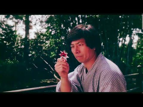 Revenge of the Ninja (Opening Scene) 1983